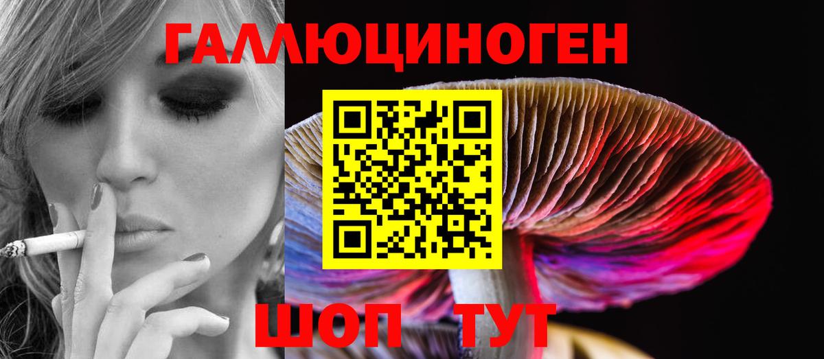 Ленинск-Кузнецкий  Галлюциногенные грибы MAGIC MUSHROOMS  Вход с VPN 